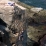 Grimpeurs à Otter Cliff