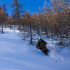 Plus bas, belle poudre à l'ombre