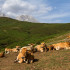 Retour aux Picos, balade au Refugio de la Terenosa