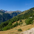 Du coté du vallon de Freissinière