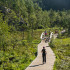 Sentier ultra aménagé du Preiskestolen