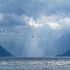 En attendant un bac, quelque part entre Bokn et Alesund