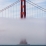 Golden gate bridge - San Francisco 