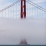 Golden gate bridge - San Francisco 