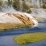 Sources thermales - Yellowstone NP