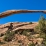 Arches NP