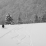 Sous la neige et la grisaille en Chartreuse