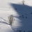 Jeu d'ombres