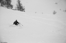 Polo au col de la Fourche (Champsaur)