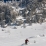 Petite poudre sous les barres de Tenconvaz