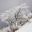 Arbre givré au Granier par Teconvaz