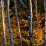 Couleurs d'automne au Mt Monadnock