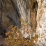 A la Sainte Victoire, secteur les Dessous de la Vierge 