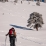 En sortant de la forêt