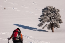 En sortant de la forêt