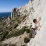 Couennes aux Flamme de Pierre dans les calanques de Marseille