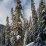 Autour de Steven Pass dans les Cascades