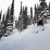 Des forêts taillés pour le ski