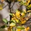 Automne