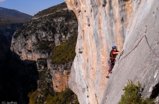 Verdon