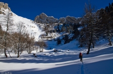 On sort de la forêt vers 1500m