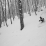 La forêt magique à 20min de la maison (seulement après passage du chasse-neige ...)