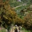 Descente sur Manarola