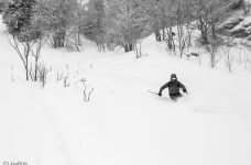 Tout bon dans les clairières de Chartreuse