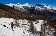 A la sortie du mélézin sous les Têtes ste Marguerite